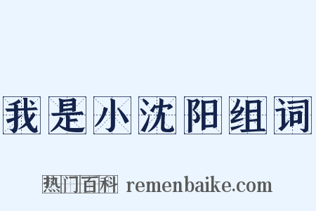 我是小沈阳组词是什么意思的图片